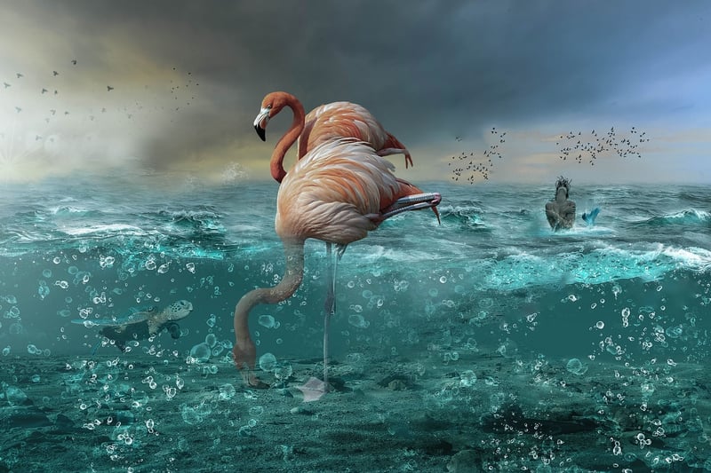 Mysterious Mermaids