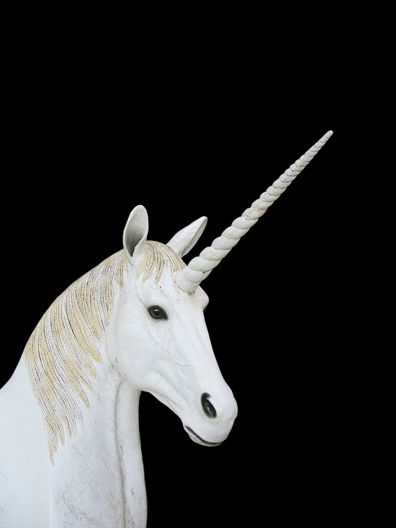 Loyal Unicorns