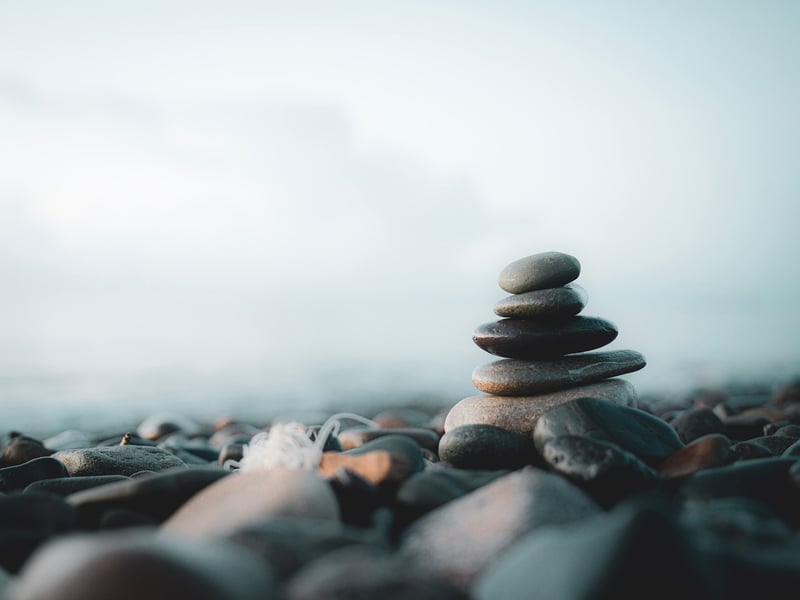 Zen Garden